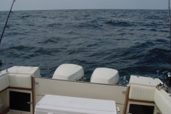 2003 Orange Beach