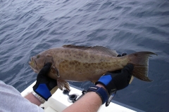 2009 Outer Banks NC