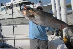 2010 Apalachicola 1