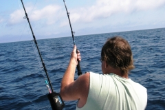 2011 Apalachicola