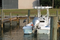 2011 Orange Beach 1