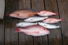 2012 Apalachicola
