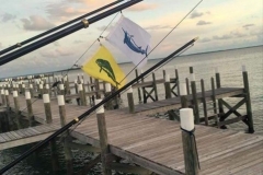 2016 Bahamas