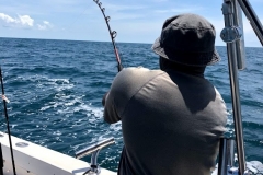 2018 Apalachicola