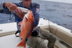 2019 Apalachicola August