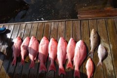 2020 Jun Apalachicola