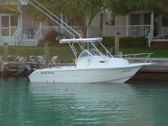28