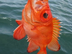 133