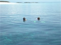 photo_006