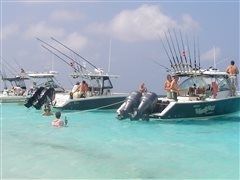 photo_008