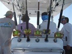 photo_028