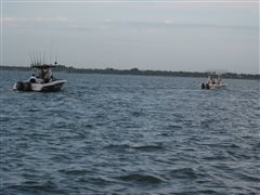 photo_036