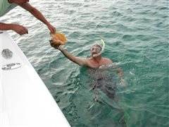 photo_042