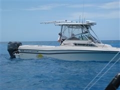 photo_049
