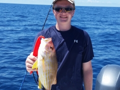 20150605_121417
