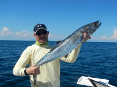 Paul's Kingfish