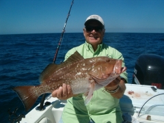 WoodyEnglewoodRedGrouper