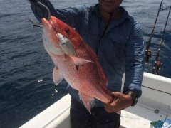 Tony with Release Snapper