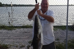 NormanCobia
