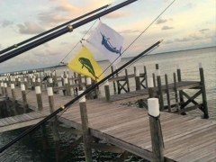 Bahamas Fishing 4