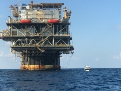 Rig