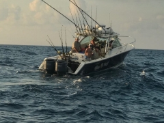 WTNFloat