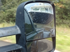 WTNRearview