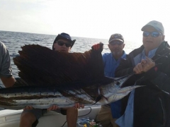 Team Loophole Sailfish