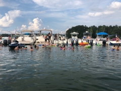 boats