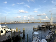 Image11