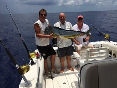 Outlaw Mahi