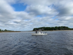 Image20
