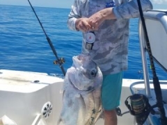 GeorgePompano2
