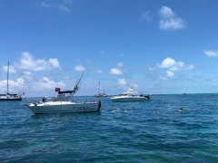 IMG951590