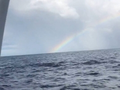 Image13