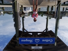 JosieMangrove