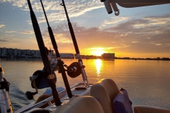 IMG_20200704_060910742_HDR