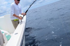 IMG_20210806_132851338