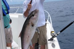 IMG_20210806_133035474