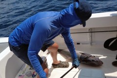 IMG_20210807_121415520