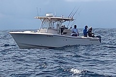 IMG_20210807_122007950