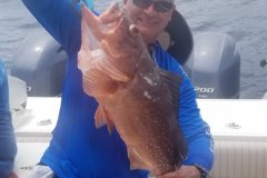 TonyGrouper1
