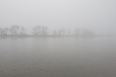 converted-20210806_071040