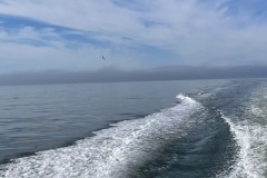 IMG_9430