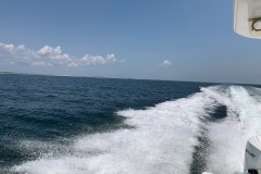 IMG_7467