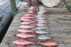 BadBuoysThuCatch