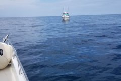 RoughSeas01