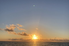 942635F4-BE92-4FAD-A113-90A919794275