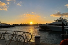 IMG_01341